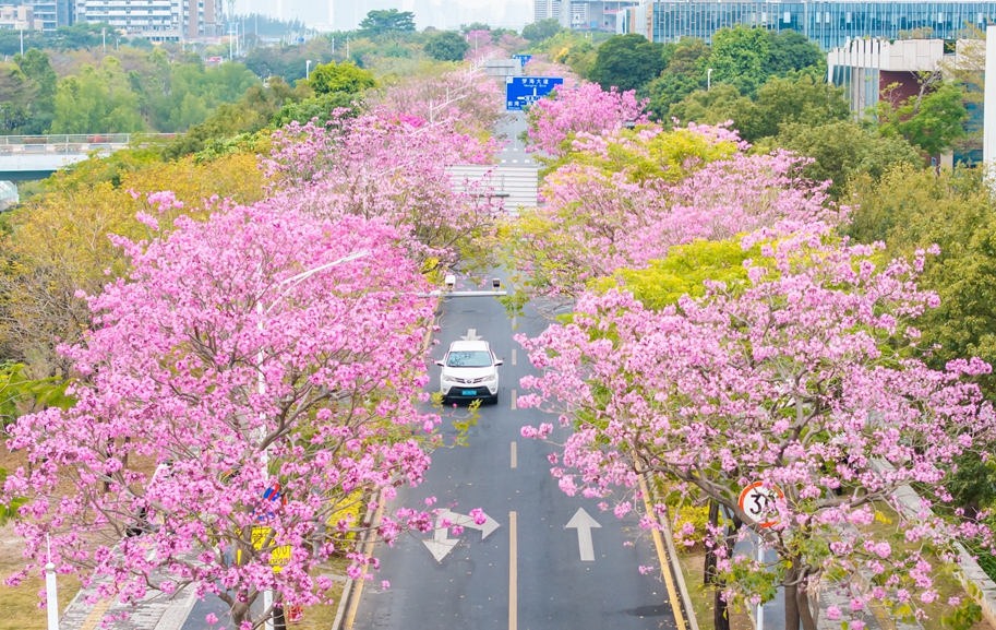公館南街