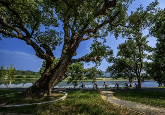 武夷山國家公園1號風(fēng)景道（南平崇陽溪段）。吳大灼 攝